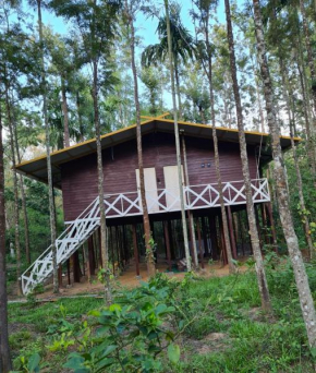 Deep Jungle Home Bandipur Mudumalai